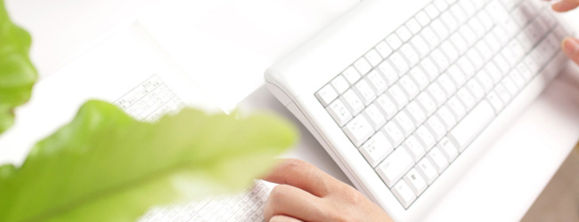 �͌��������ɂ��܂�����